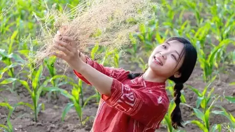 曝许凯赌博金额一年高达百万