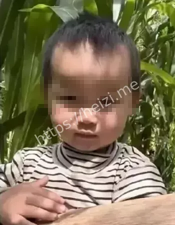 四川凉山女童失踪