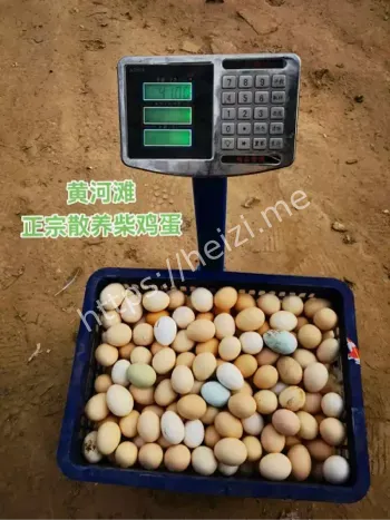 柴鸡蛋支付方式