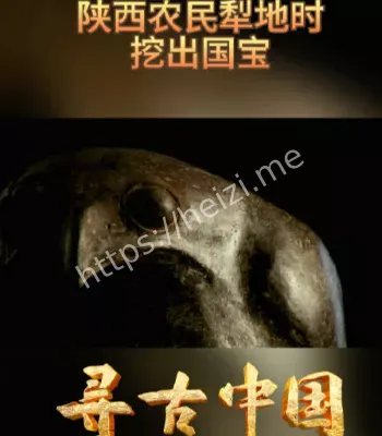 陕西农民挖出国宝